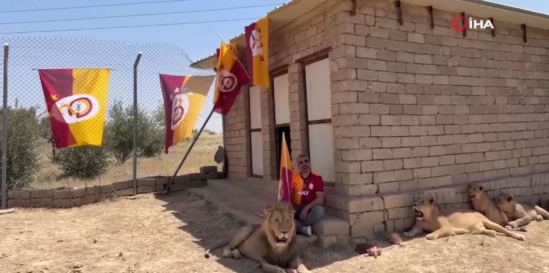 Aslanlara Galatasaray Ruhunu Üfledi!