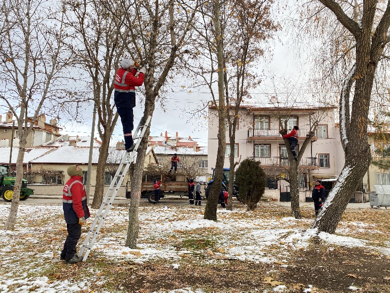 Afyonkarahisar Belediyesi'nden 28 Kasım - 4 Aralık Tarihleri İçin Kritik Duyuru