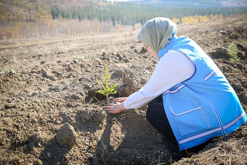 915 Bini Aşkın Fidan Toprakla Buluştu