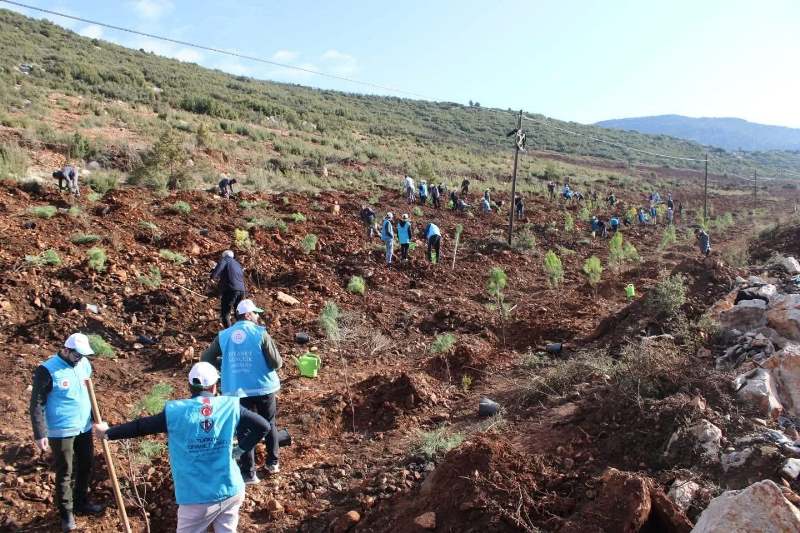 915 Bini Aşkın Fidan Toprakla Buluştu