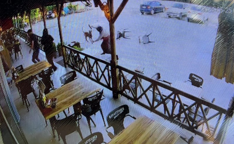 Afyon’da Tekmelere Aldırmayan Köpek Kadının Kolunu Kopardı!
