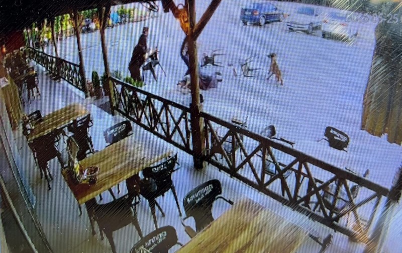 Afyon’da Tekmelere Aldırmayan Köpek Kadının Kolunu Kopardı!