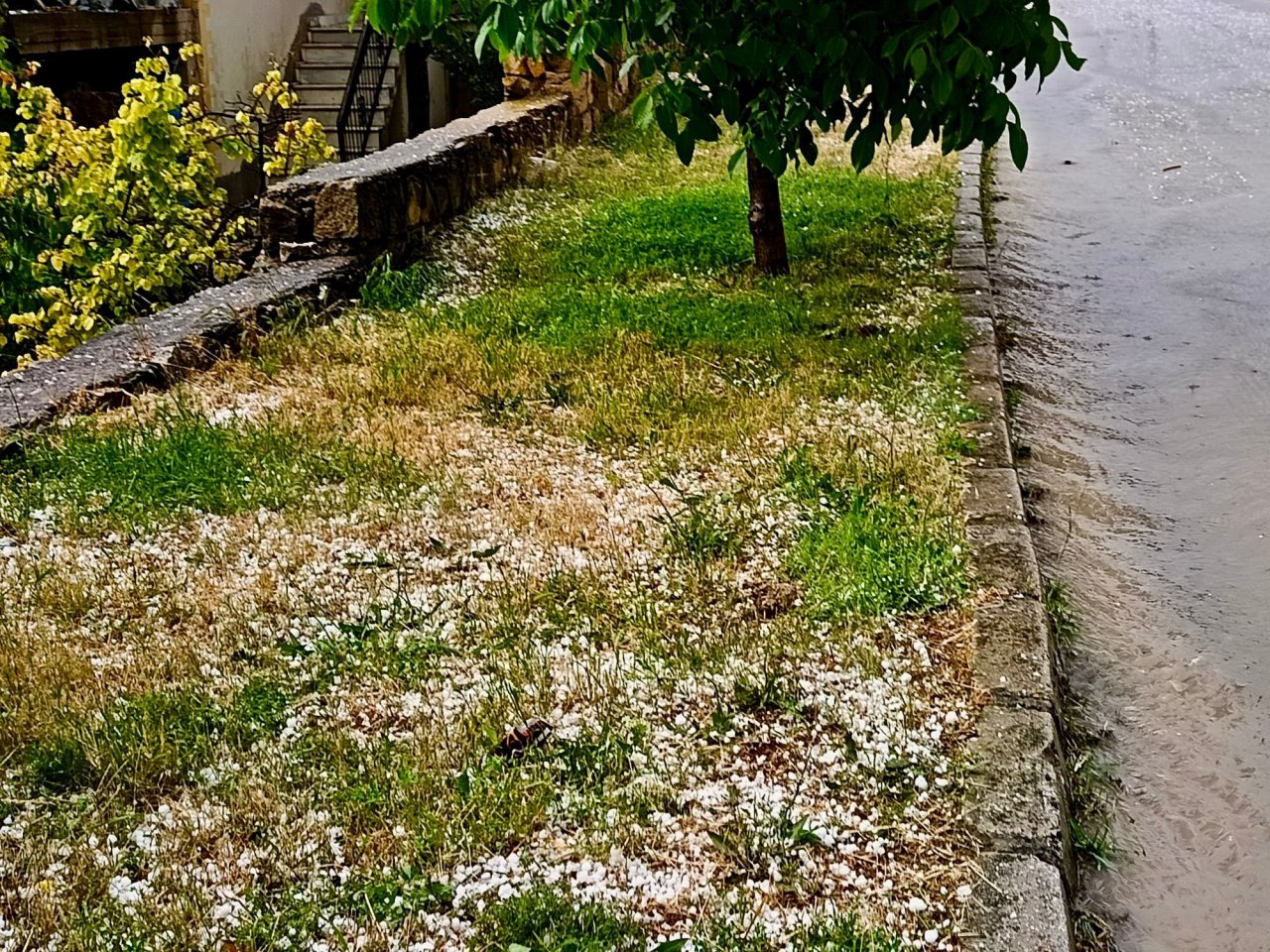 Afyonkarahisar’da Sağanak ve Dolu Yağışı Etkili Oldu: Tarım Arazileri Zarar Gördü