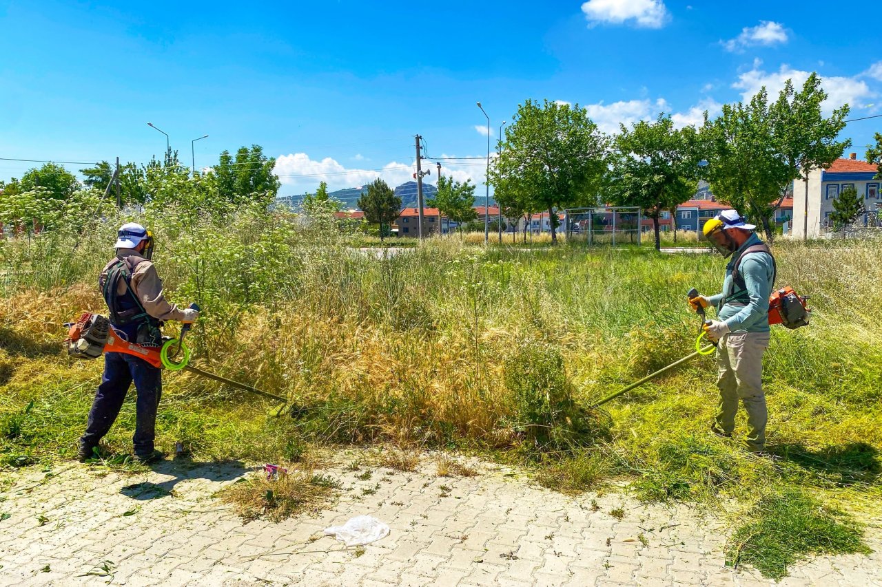 Afyonkarahisar’da Yeşil Alanlar İçin Yoğun Mesai: Çim Biçme Ve Ot Temizliği Sürüyor