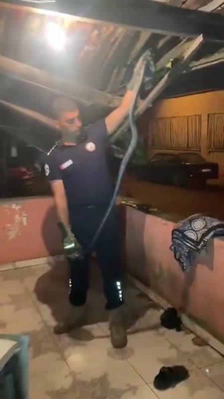 Bulaşık Makinesine 2 Metrelik Yılan Girdi!