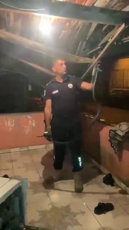 Bulaşık Makinesine 2 Metrelik Yılan Girdi!