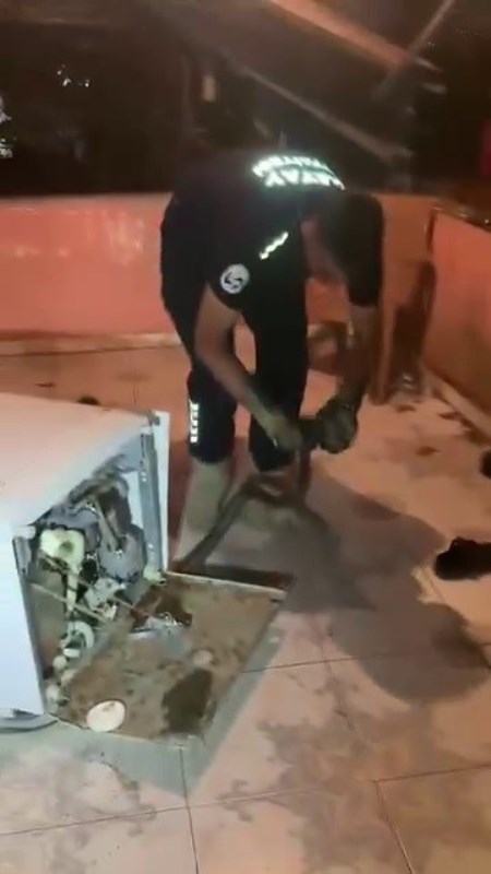 Bulaşık Makinesine 2 Metrelik Yılan Girdi!