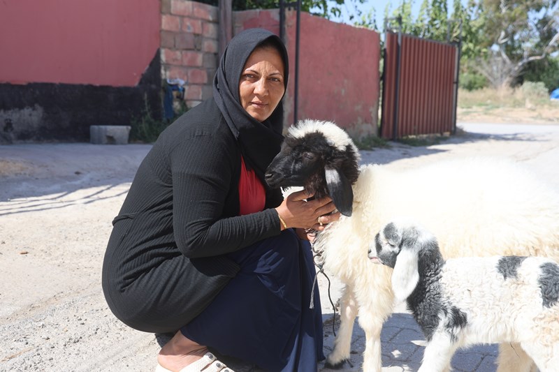 Çocuğu Gibi Baktığı Kuzu, Acılı Anneye Destek Oluyor