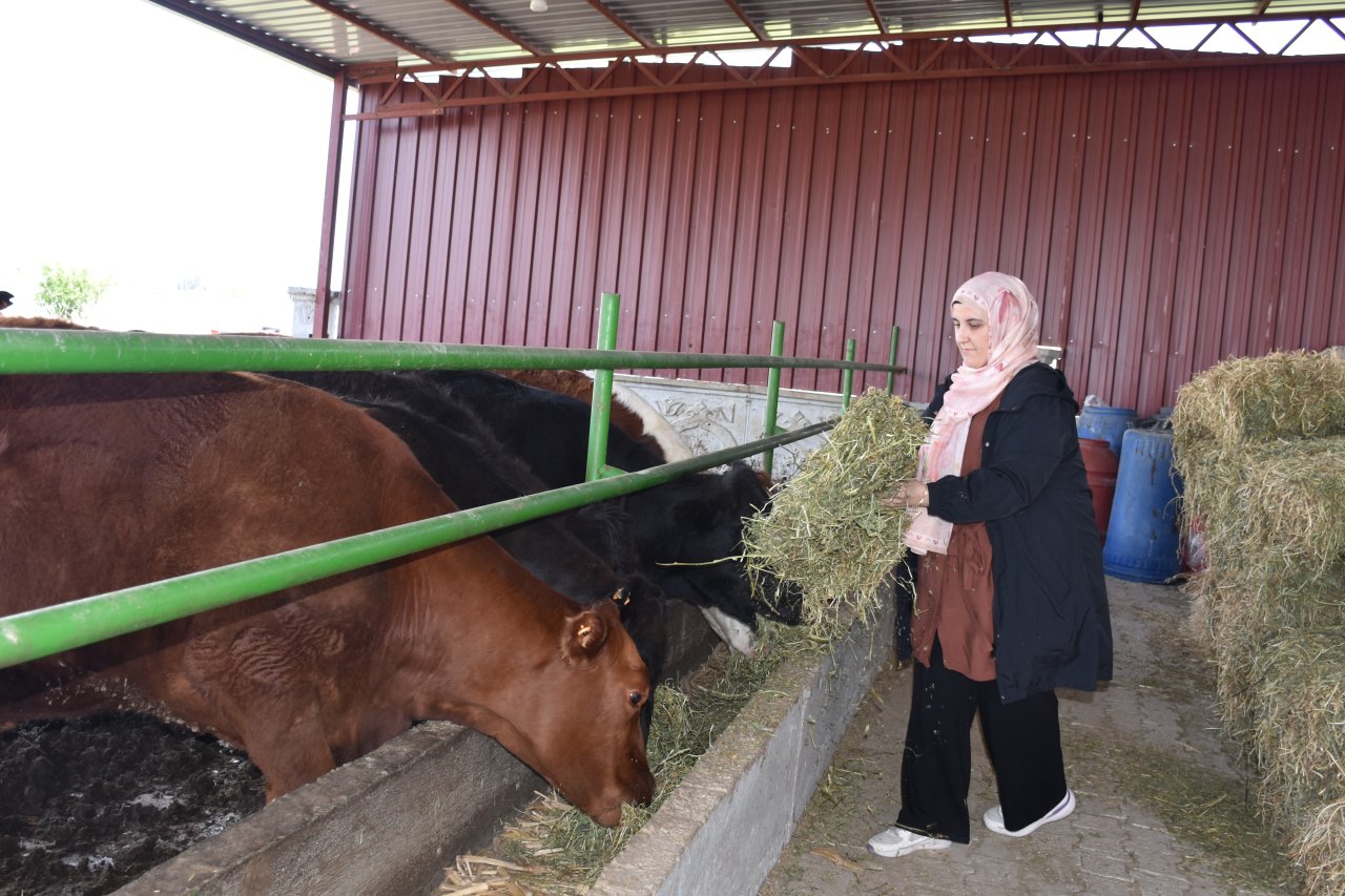 Devlet Desteğiyle Hayvancılığa Başladı: Genç Ziraat Mühendisi Emine Eser Üretime Katıldı
