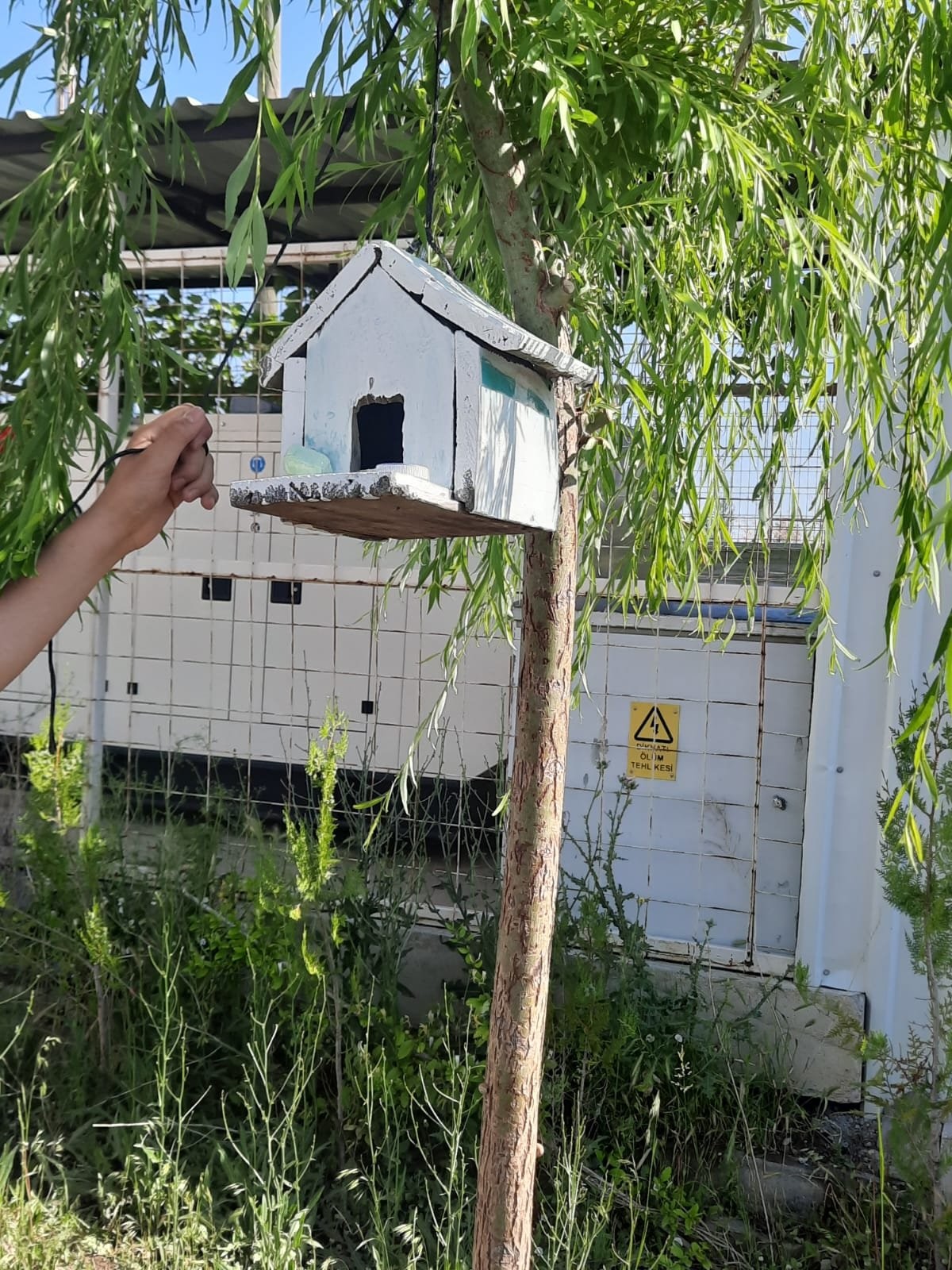 Sandıklı'da Öğrencilerden Doğaya Anlamlı Destek: Kuş Yuvaları Ağaçlara Asıldı