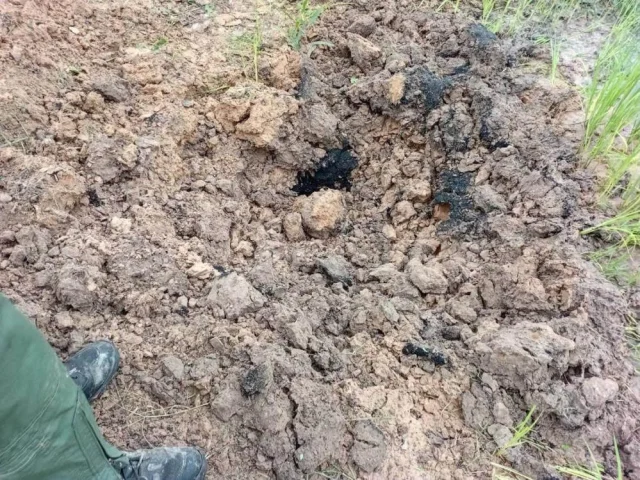 Köpeğin Getirdiği "Oyuncak" El Bombası Çıktı