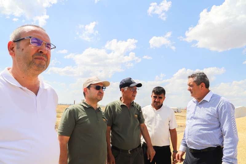 TMO Alımları Başladı!