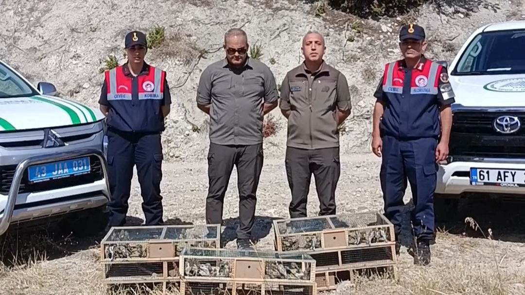 DKMP Ekipleri İzinsiz Yakalanan Şaka Kuşu Ele Geçirdi