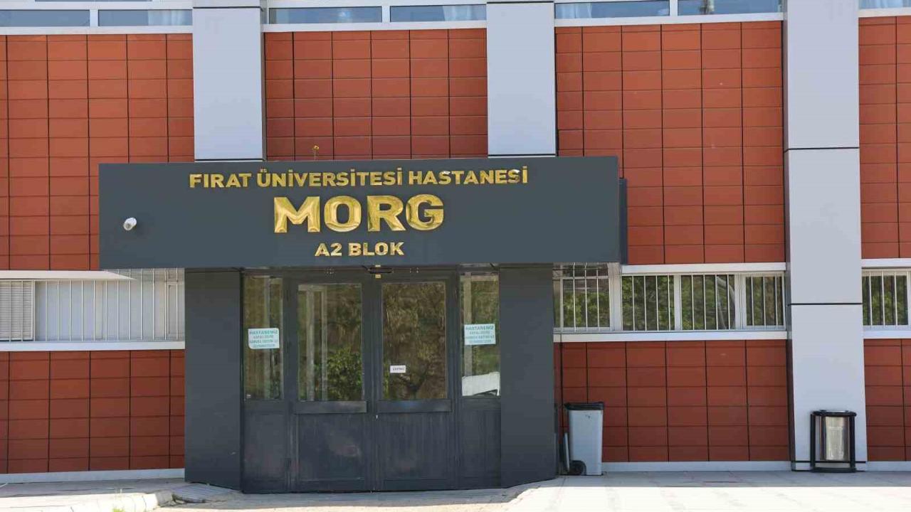 Üzüm Almaya Geldi, Hayatını Kaybetti