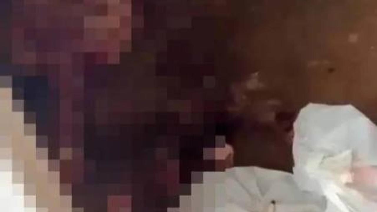 Kaçak Mezbahada At ve Eşek Eti Satışı Ortaya Çıktı