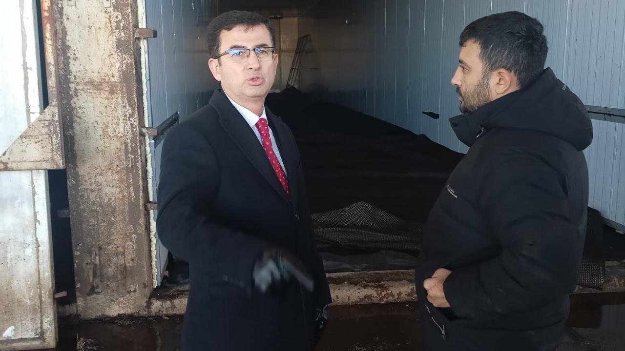 Otomatik Taslak