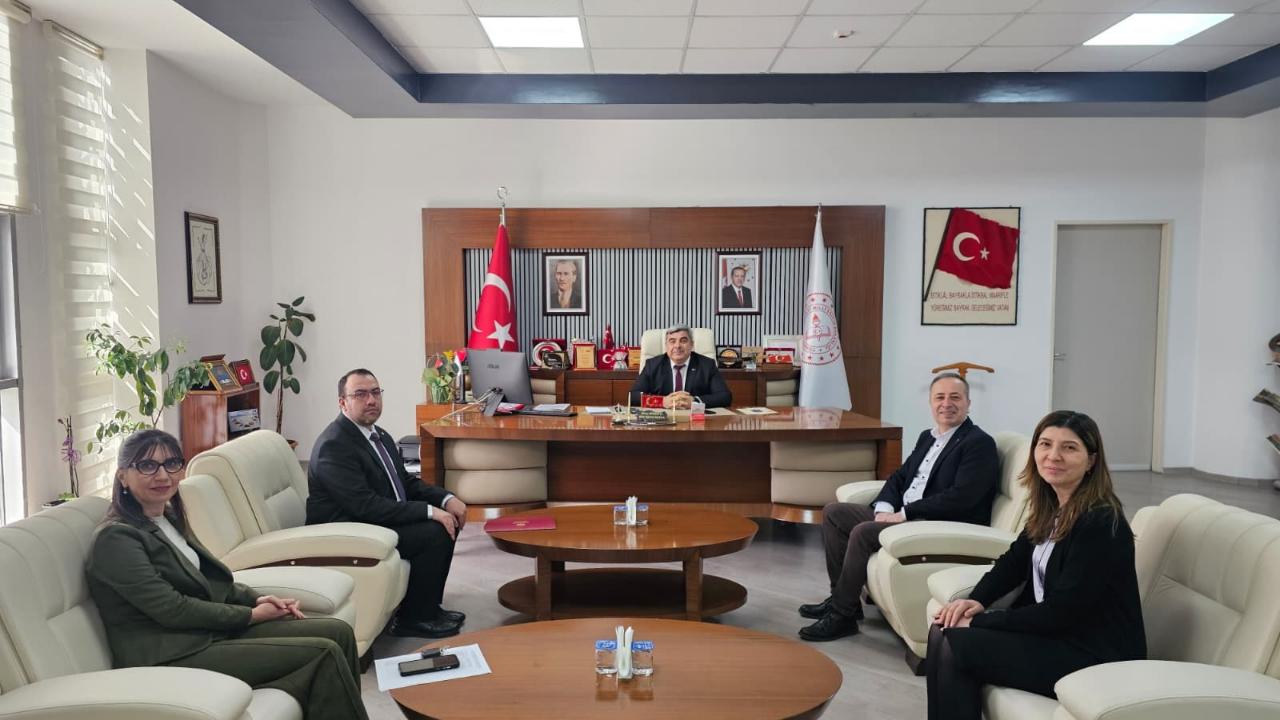 Otomatik Taslak