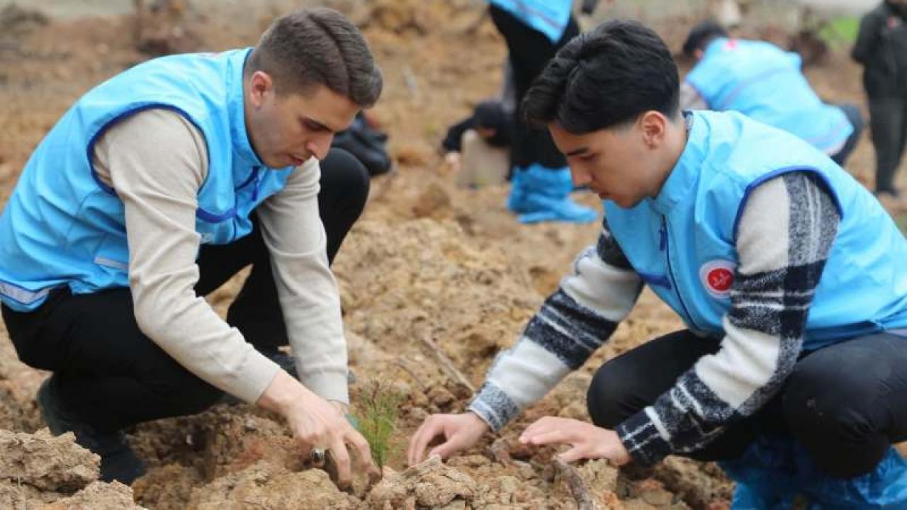 915 Bini Aşkın Fidan Toprakla Buluştu