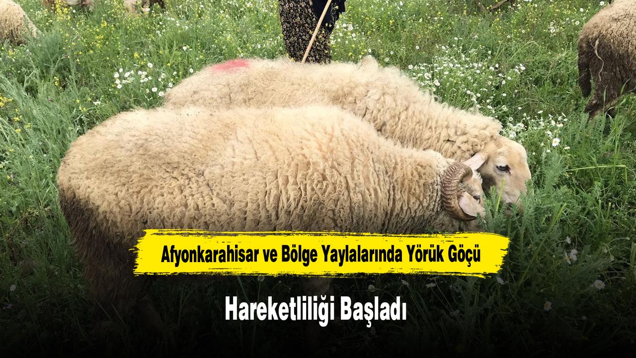 Afyonkarahisar ve Bölge Yaylalarında Yörük Göçü Hareketliliğ