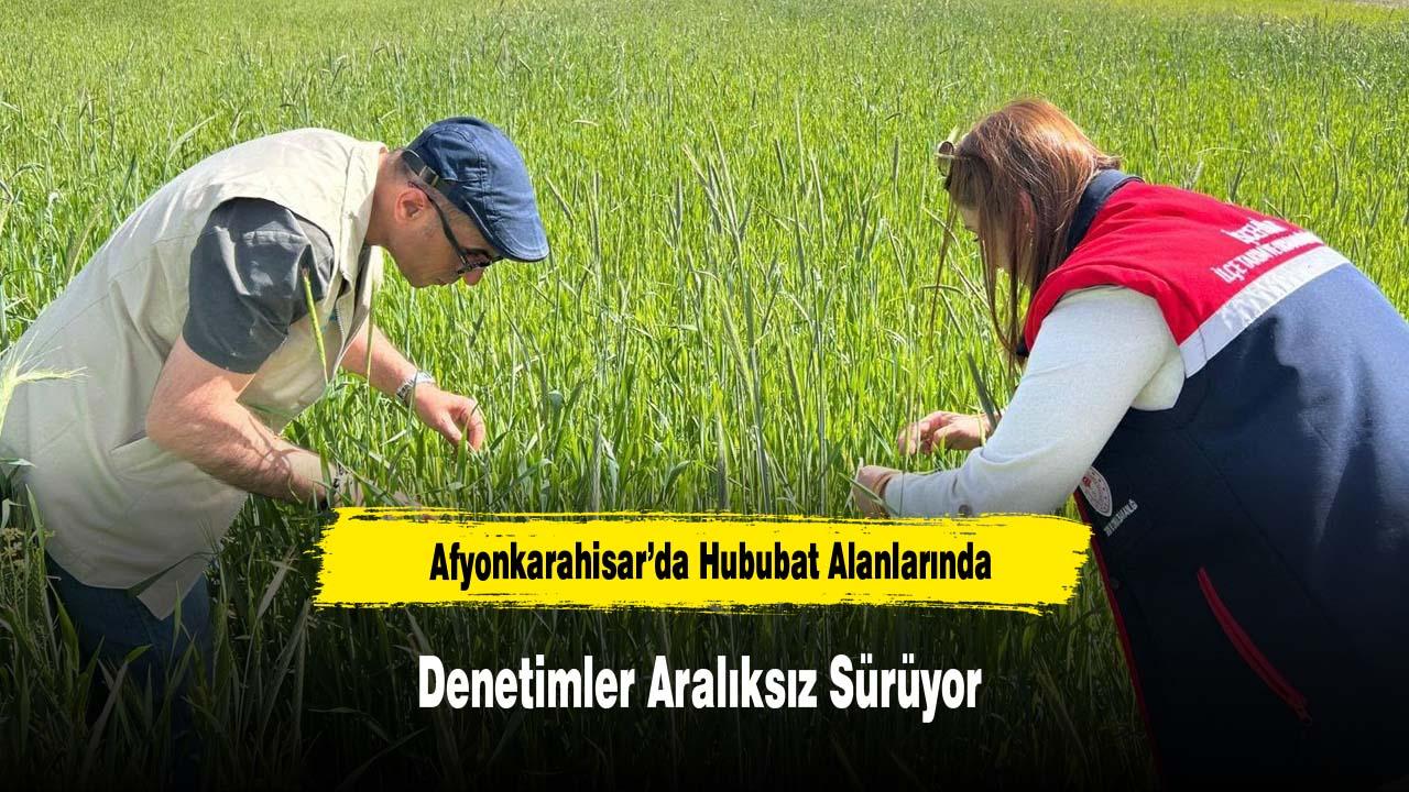 Afyonkarahisar’da Hububat Alanlarında Denetimler Aralıksız S
