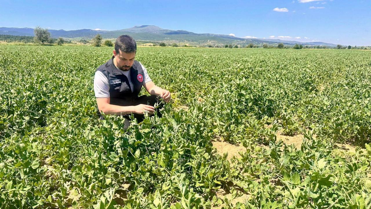Afyonkarahisar’da Planlı Tarımsal Üretim İçin Saha Denetimleri Sürüyor