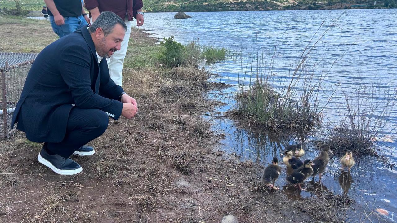 Başkan Öztaş, Frigya Kayahan Gölet’inde Düzenlenen Ördek Salımı Programına Katıldı