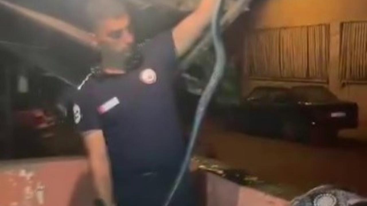 Bulaşık Makinesine 2 Metrelik Yılan Girdi!