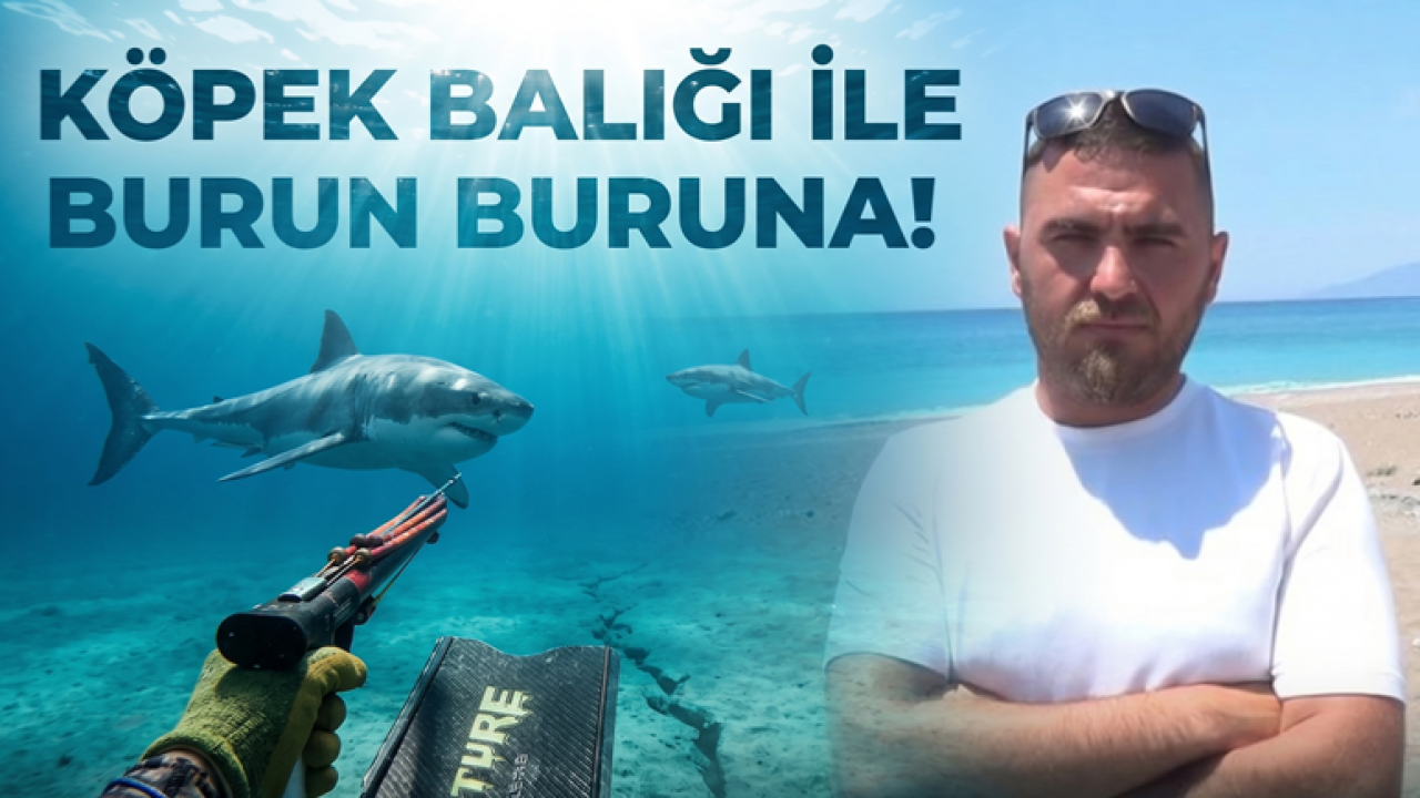 Dalış Yaparken Köpek Balığı İle Burun Buruna Geldi