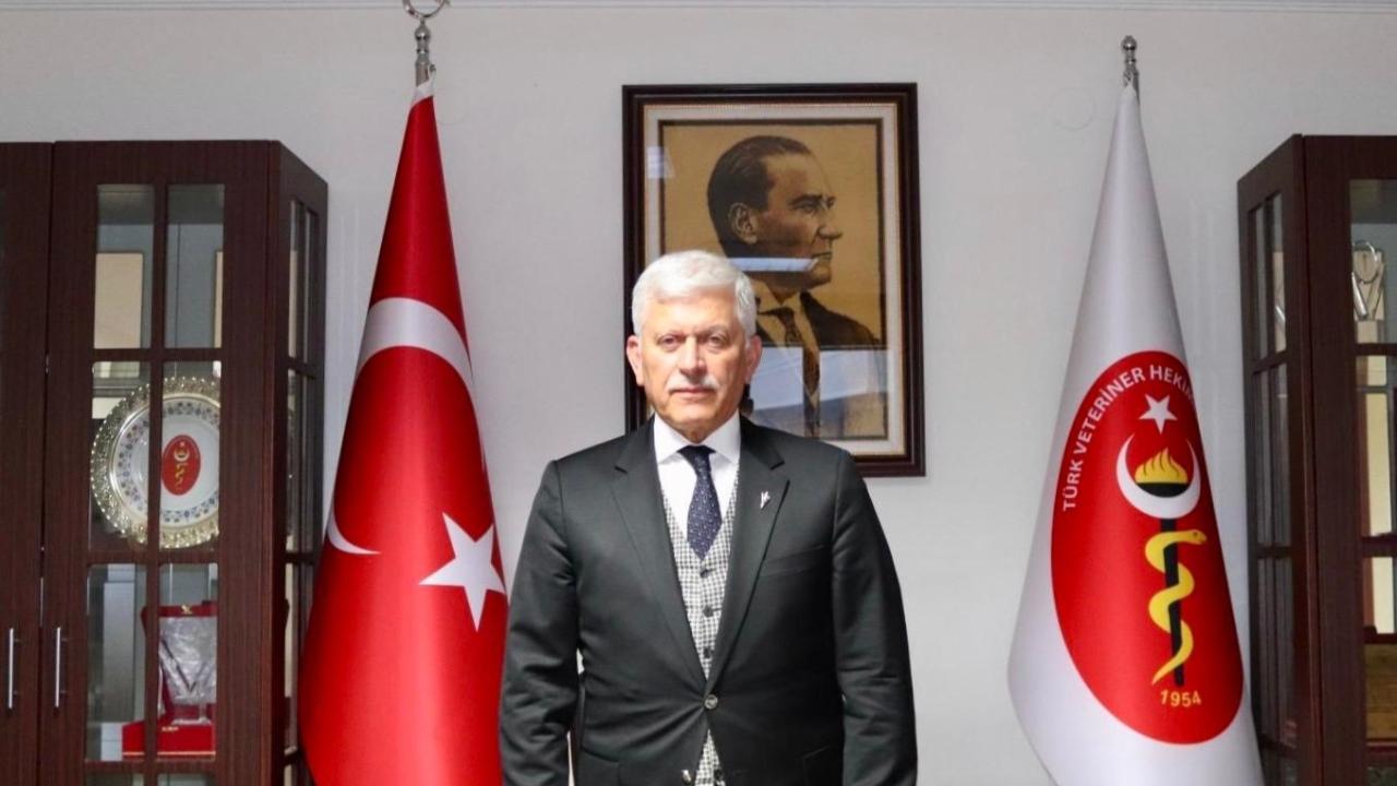 Otomatik Taslak
