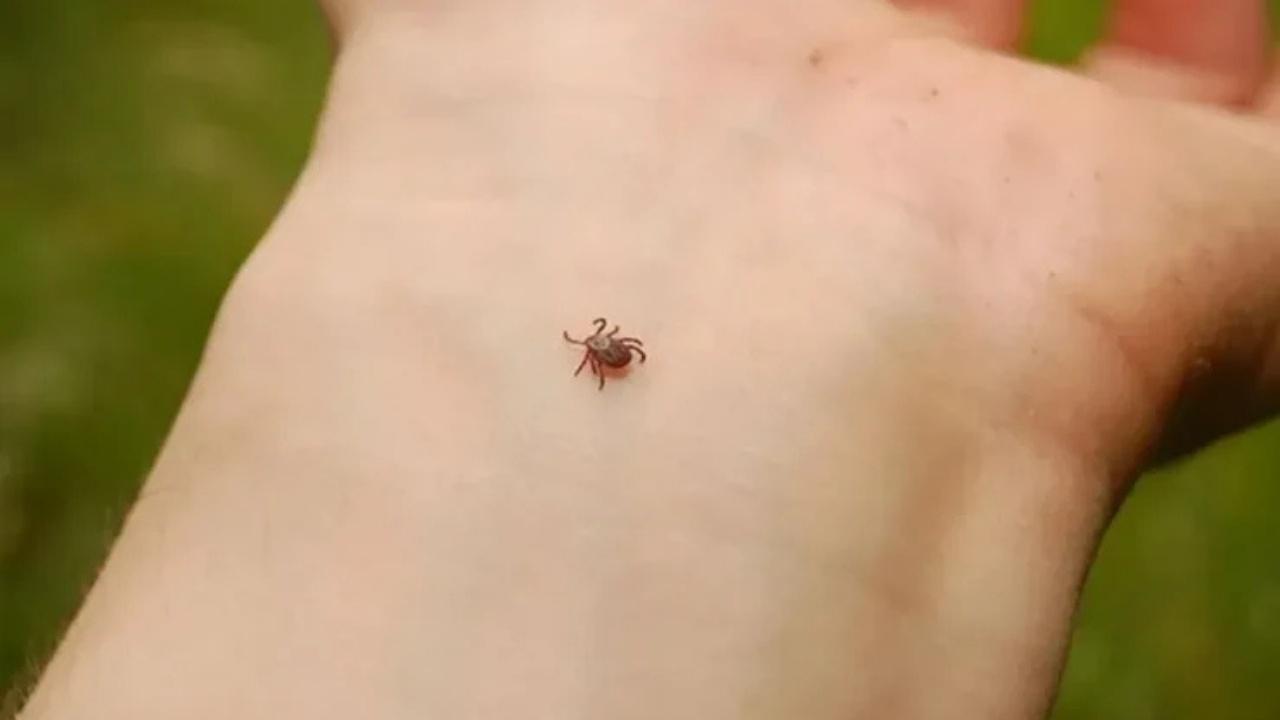 Sivas’ta Kene Can Aldı! KKKA Şüphesiyle Tedavi Gören 3 Çocuk Babası Hayatını Kaybetti