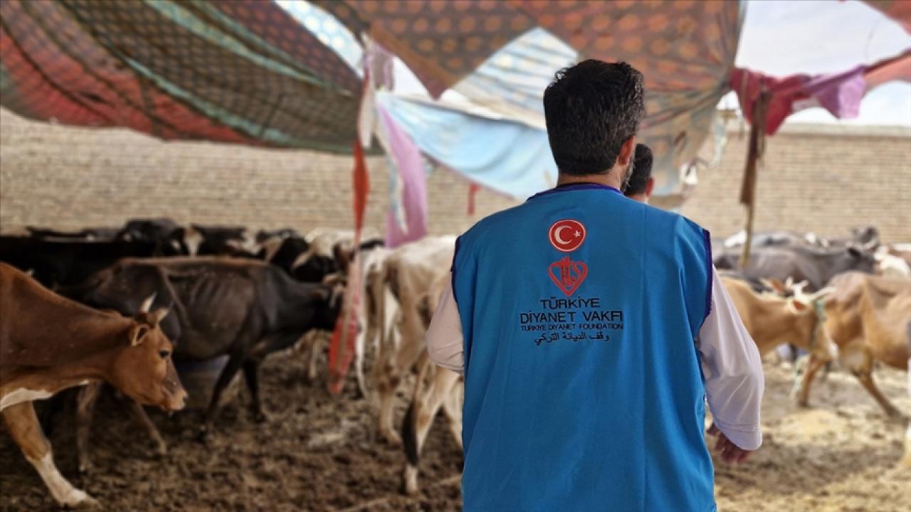 TDV Kurban Bayramı’nda Yaklaşık 37 Milyon İhtiyaç Sahibine Kurban Eti Ulaştırdı