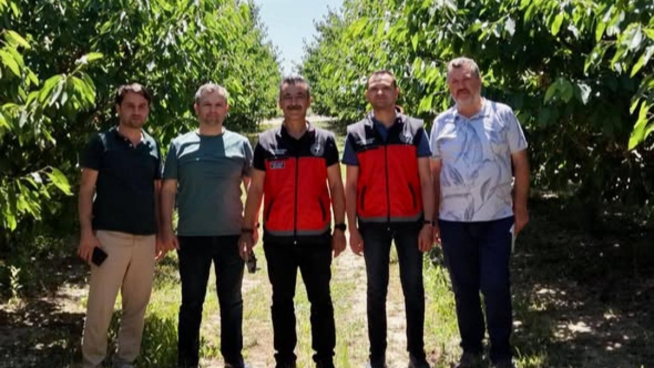 Afyon ve Bursa Arasında Tarımda İş Birliği