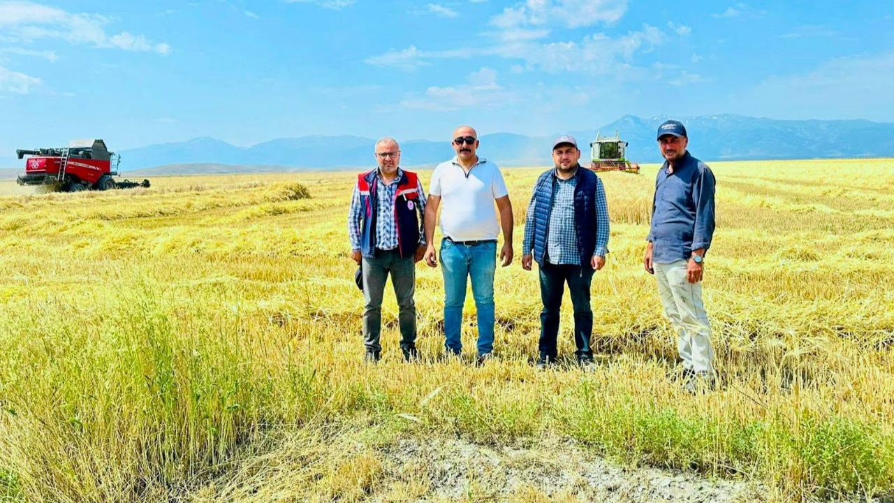 Afyonkarahisar’da Hububat Hasadı Başladı: Üreticilere Kritik Uyarılar