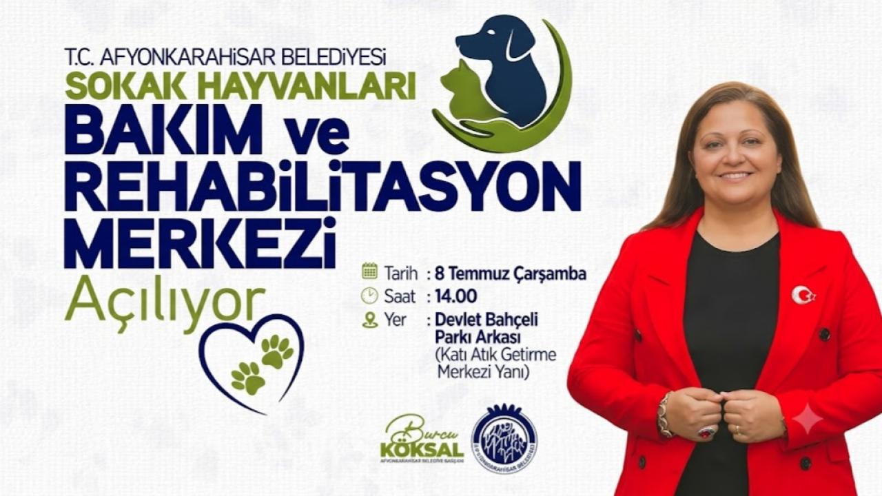 Can Dostlarımıza Yeni Yuva: Sokak Hayvanları Bakım ve Rehabilitasyon Merkezi Açılıyor!