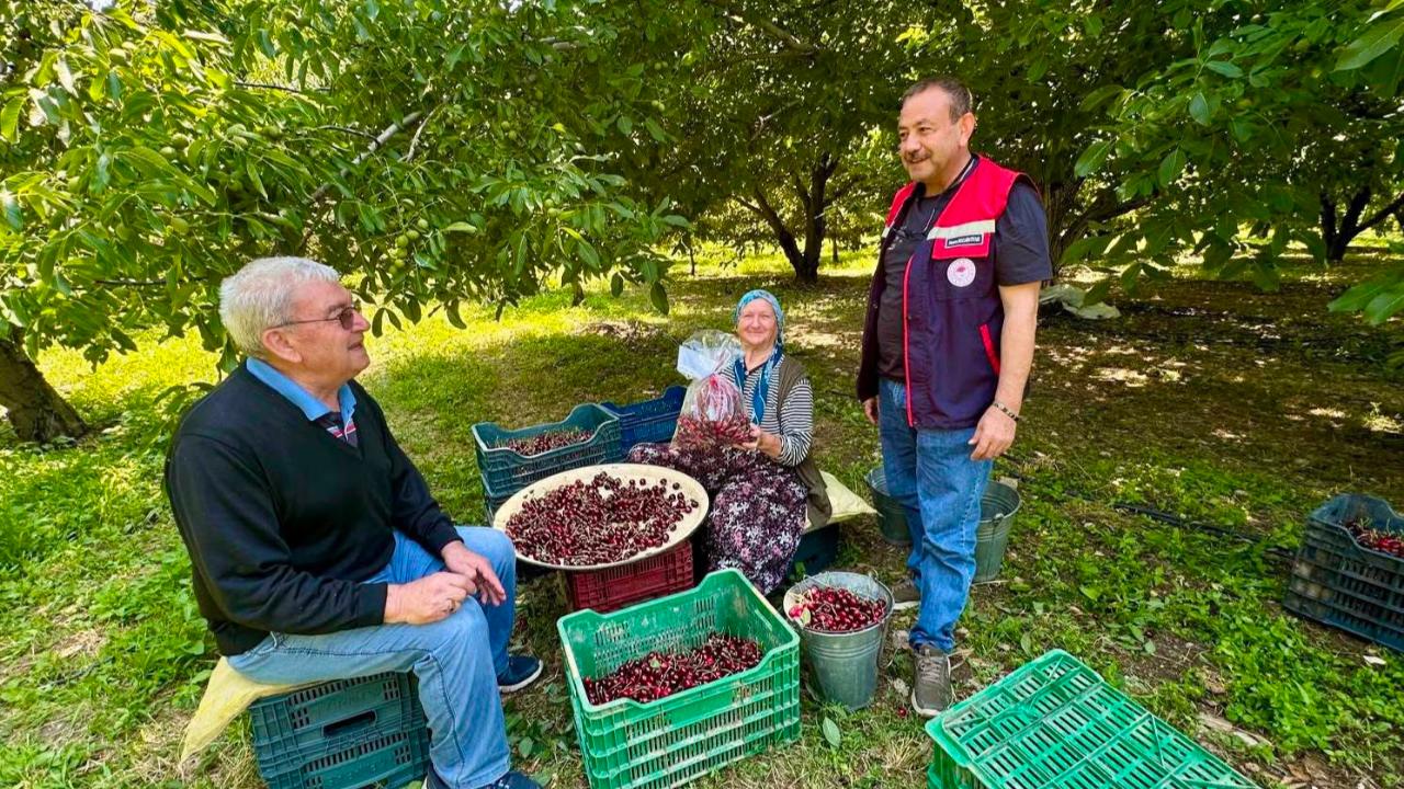 Güvenilir Gıda İçin Hasat Öncesi Pestisit Denetimleri Devam Ediyor