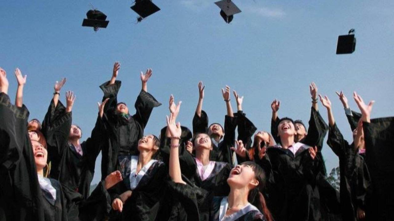 Sahte Diplomaya Ağır Darbe!