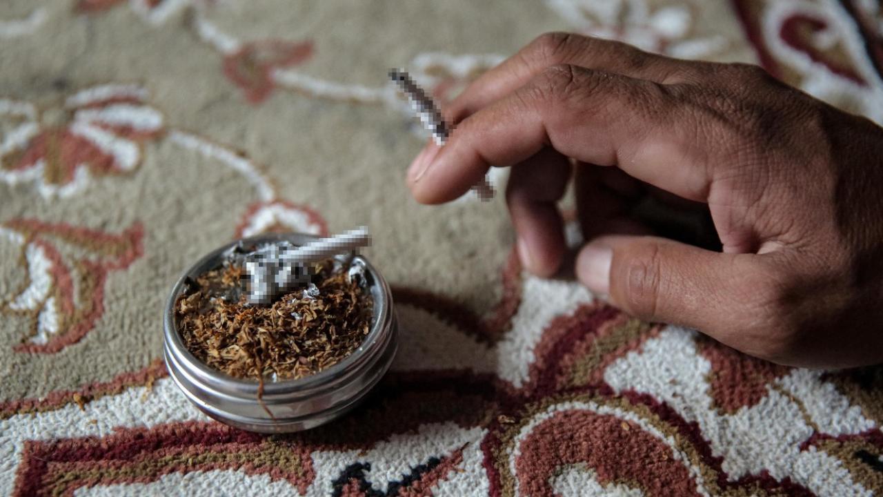 Sessiz Küresel Tehdit Tütün Her Yıl Milyonlarca Can Alıyor