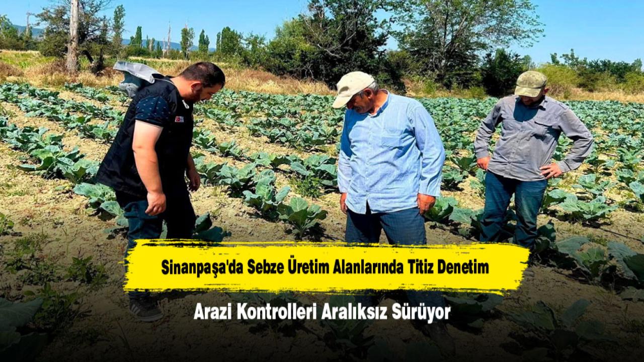 Sinanpaşa'da Sebze Üretim Alanlarında Titiz Denetim