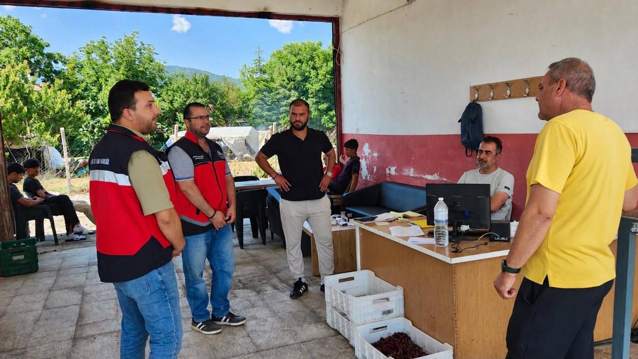 Sultandağı'nda Meyve Alım Noktalarına Sıkı Denetim