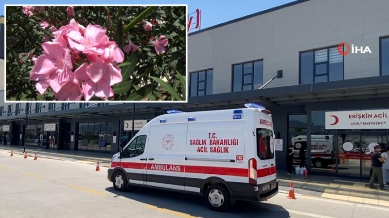 Zakkumun Çiçeğini Yedi, Komalık Oldu!