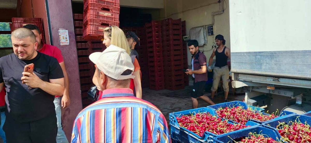 Sultandağı'nda Meyve Alım Noktalarına Sıkı Denetim